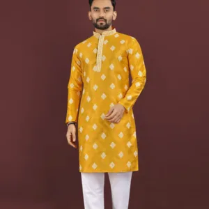 Sequence Embroidery Kurta